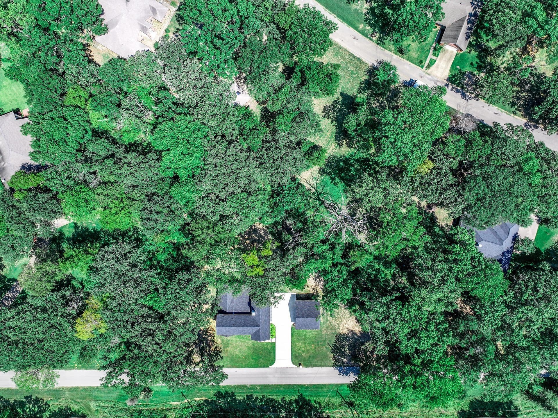 0.32 acres in Henderson County - photo 4