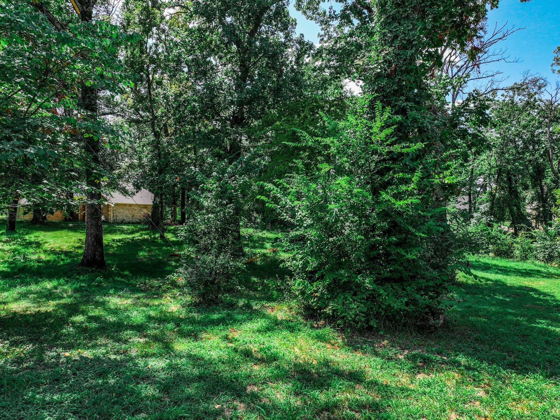 0.32 acres in Henderson County - photo 19