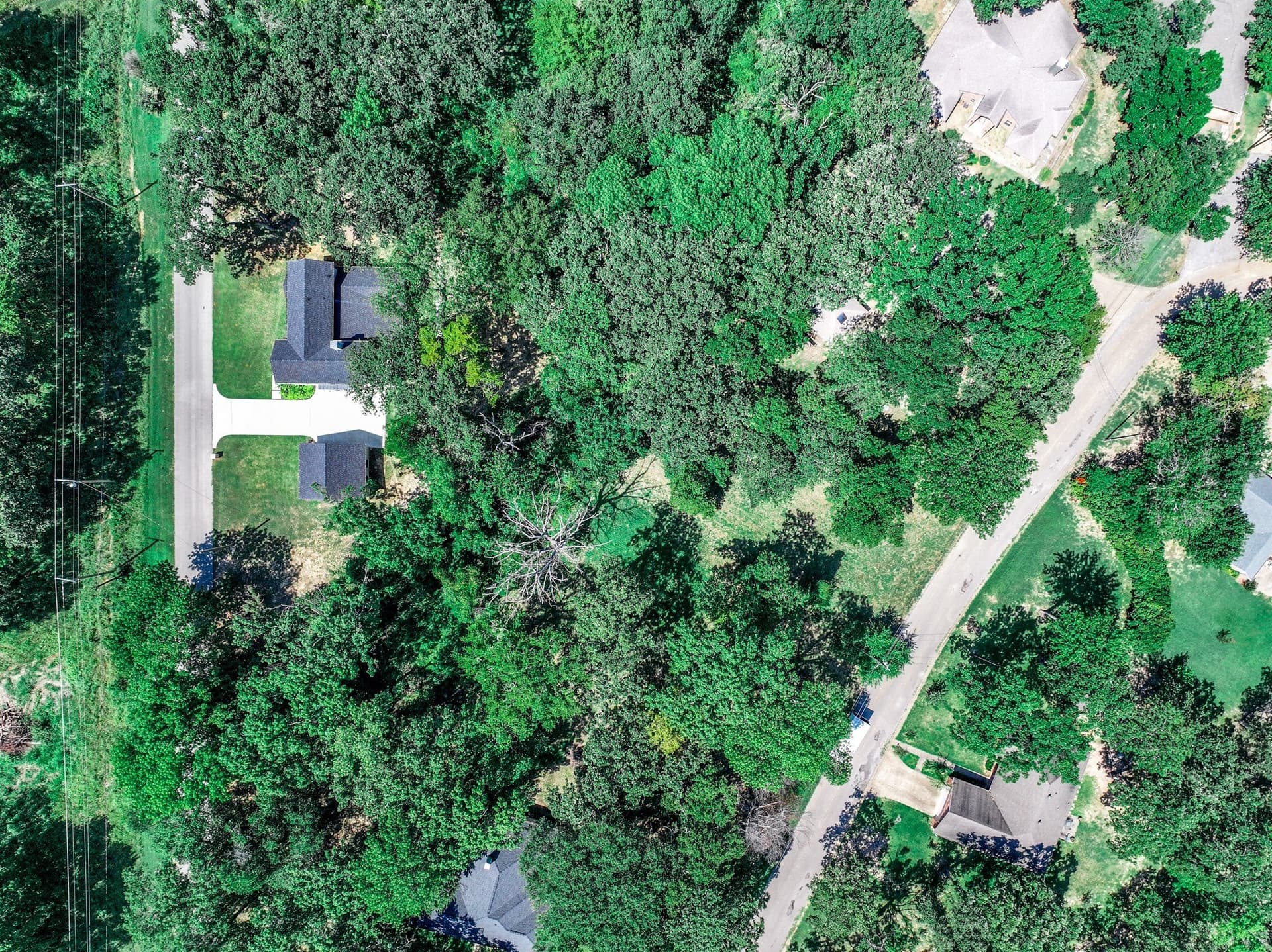 0.32 acres in Henderson County - photo 2