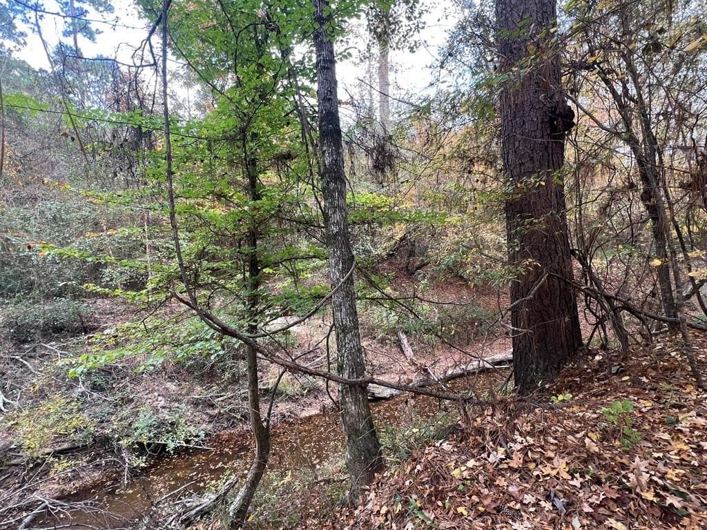 20.39 acres in Texas County gallery image 4