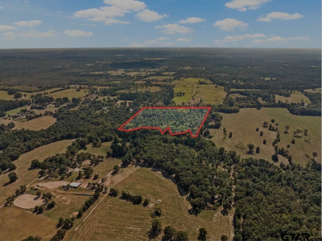 12.51 acres in Upshur County gallery image 4