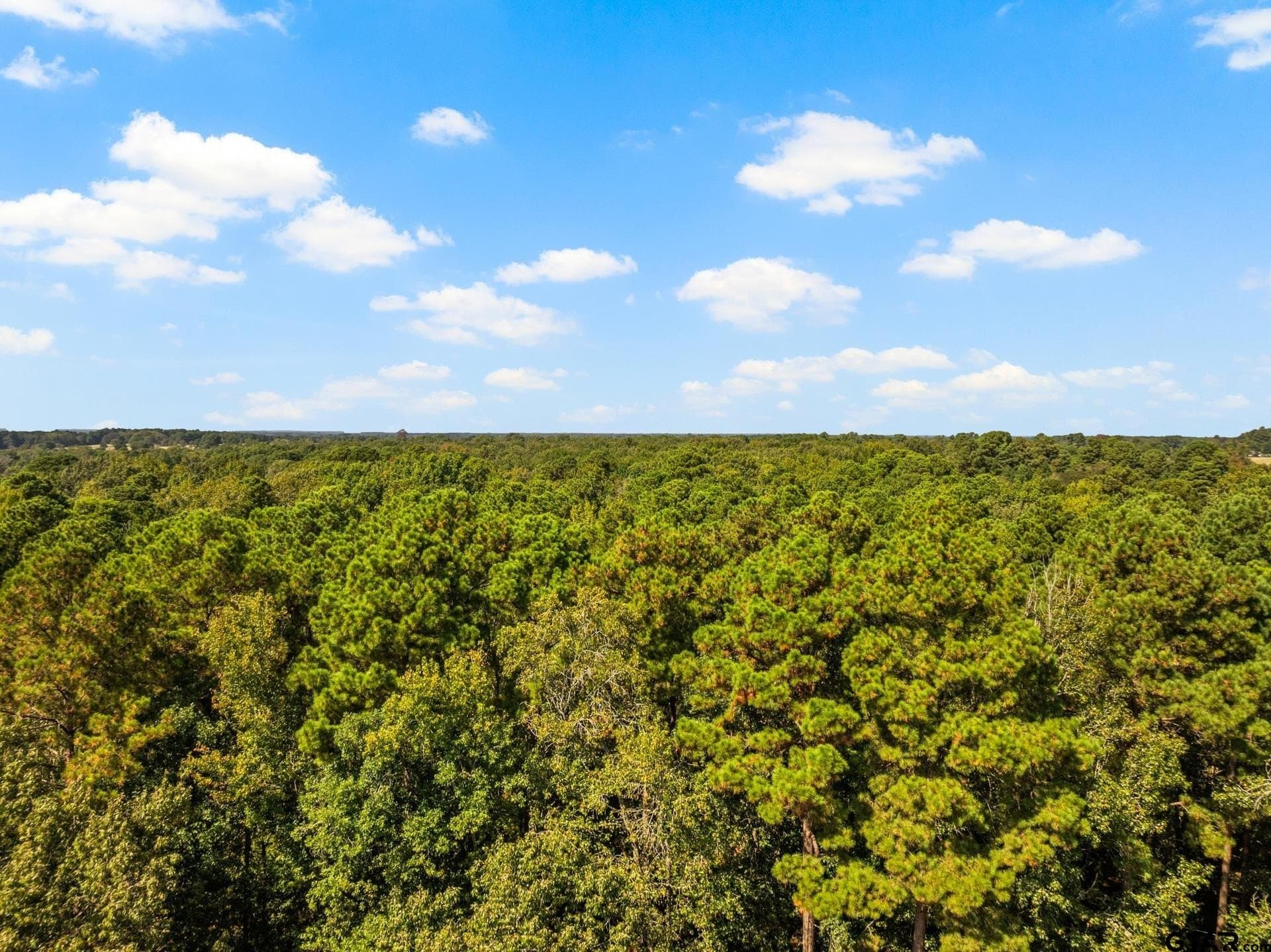 12.51 acres in Upshur County featured view