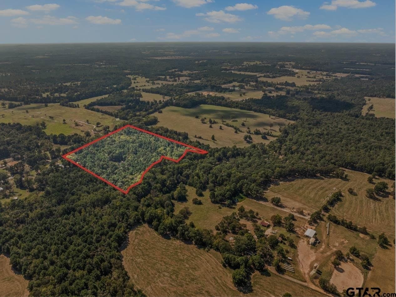 12.51 acres in Upshur County gallery image 3