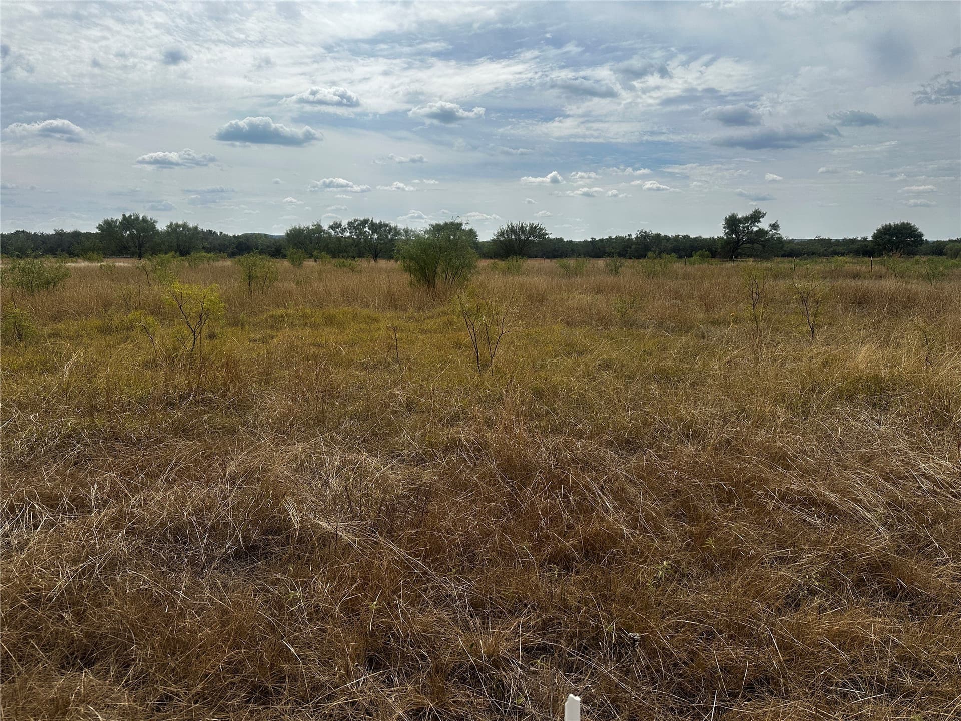2 acres in Taylor County