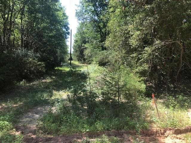 2.5 acres in Robertson County - photo 2