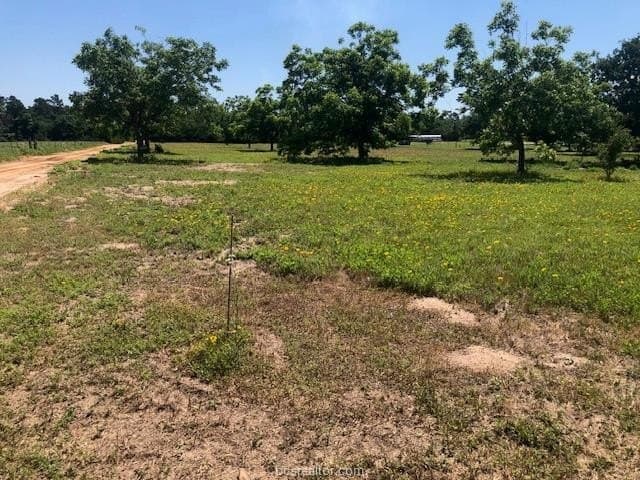 2.5 acres in Robertson County - photo 4