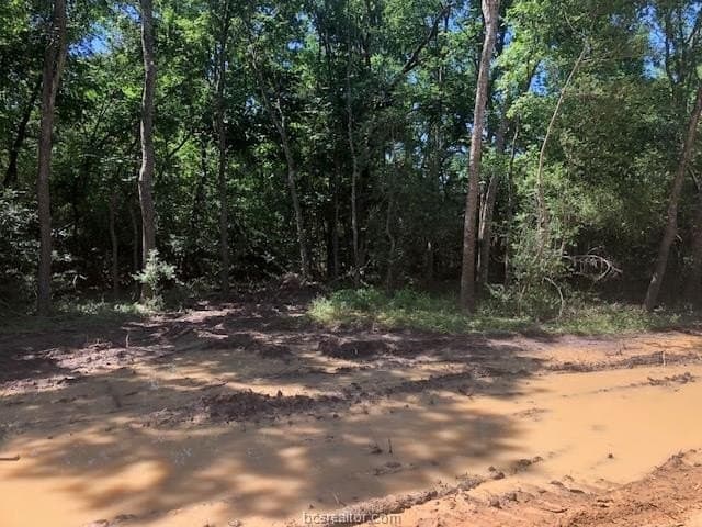 2.5 acres in Robertson County - photo 3