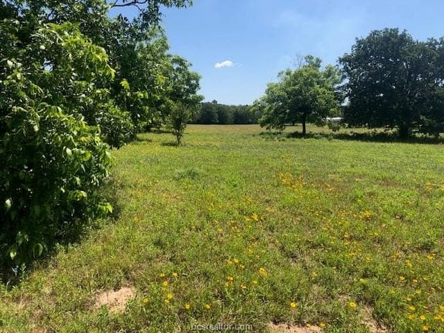 2.5 acres in Robertson County - photo 5