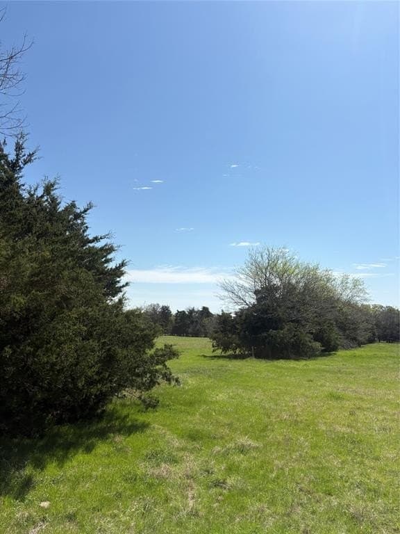 84 acres in Hopkins County gallery image 4