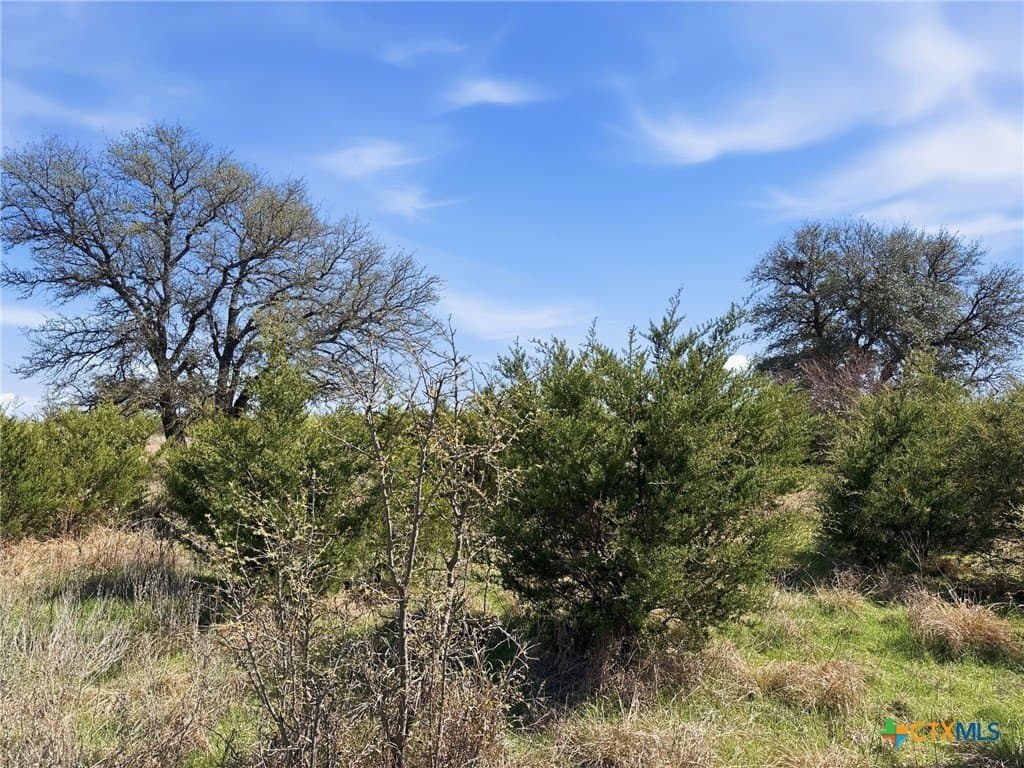 25.28 acres in Hamilton County - photo 7