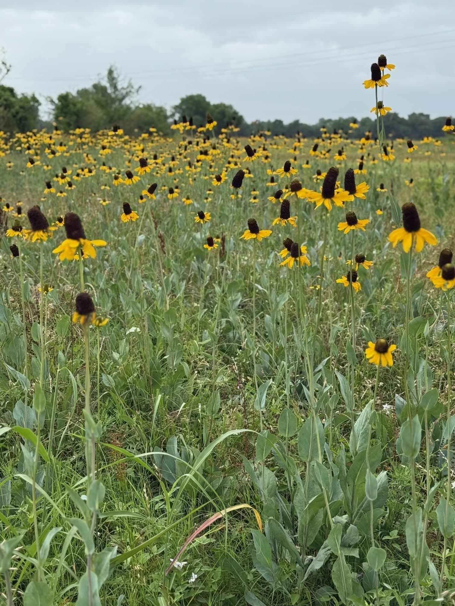 58.04 acres in Lamar County - photo 13