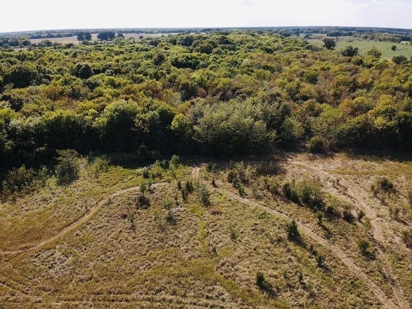 58.04 acres in Lamar County - photo 18