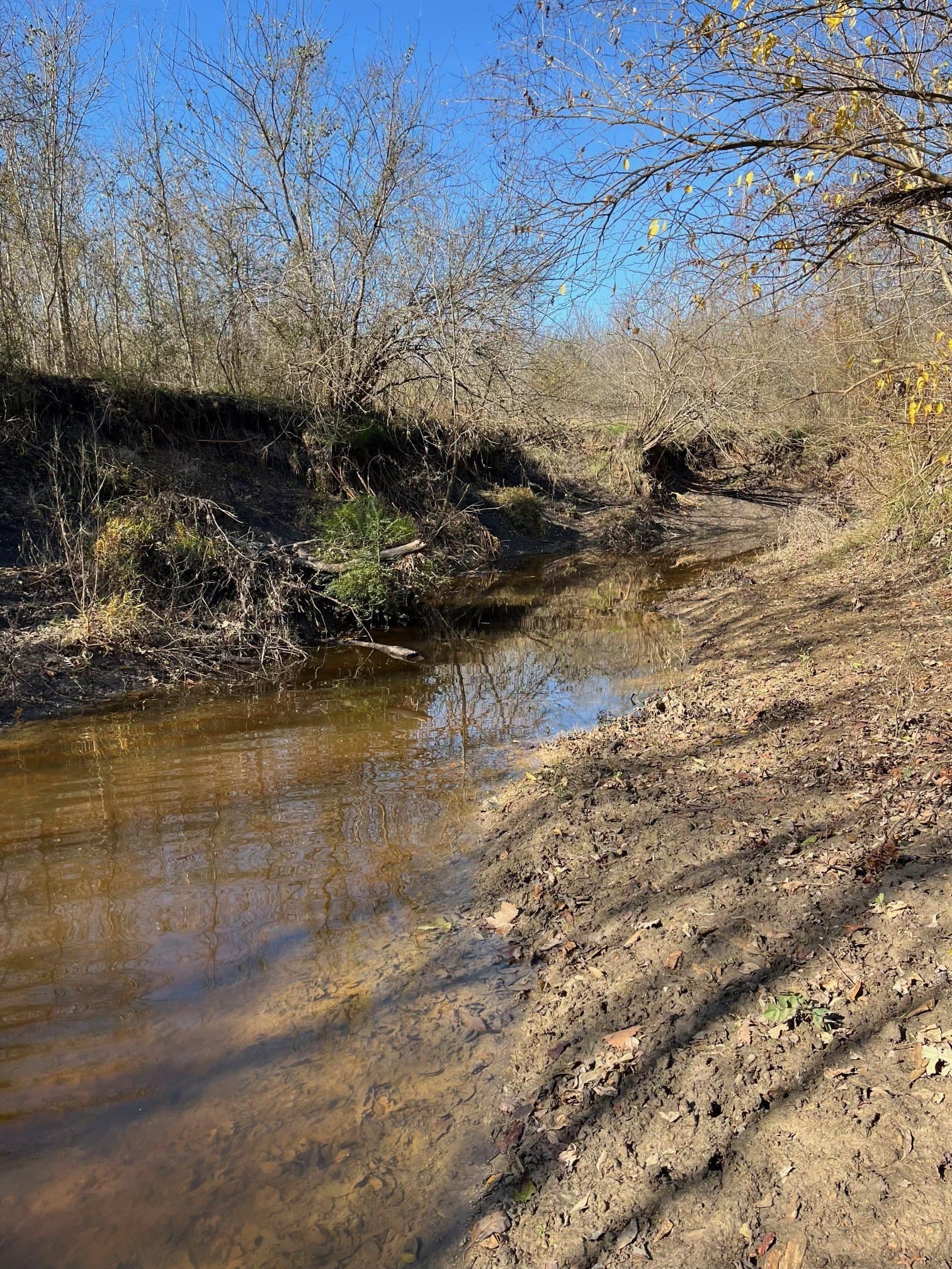 58.04 acres in Lamar County - photo 22