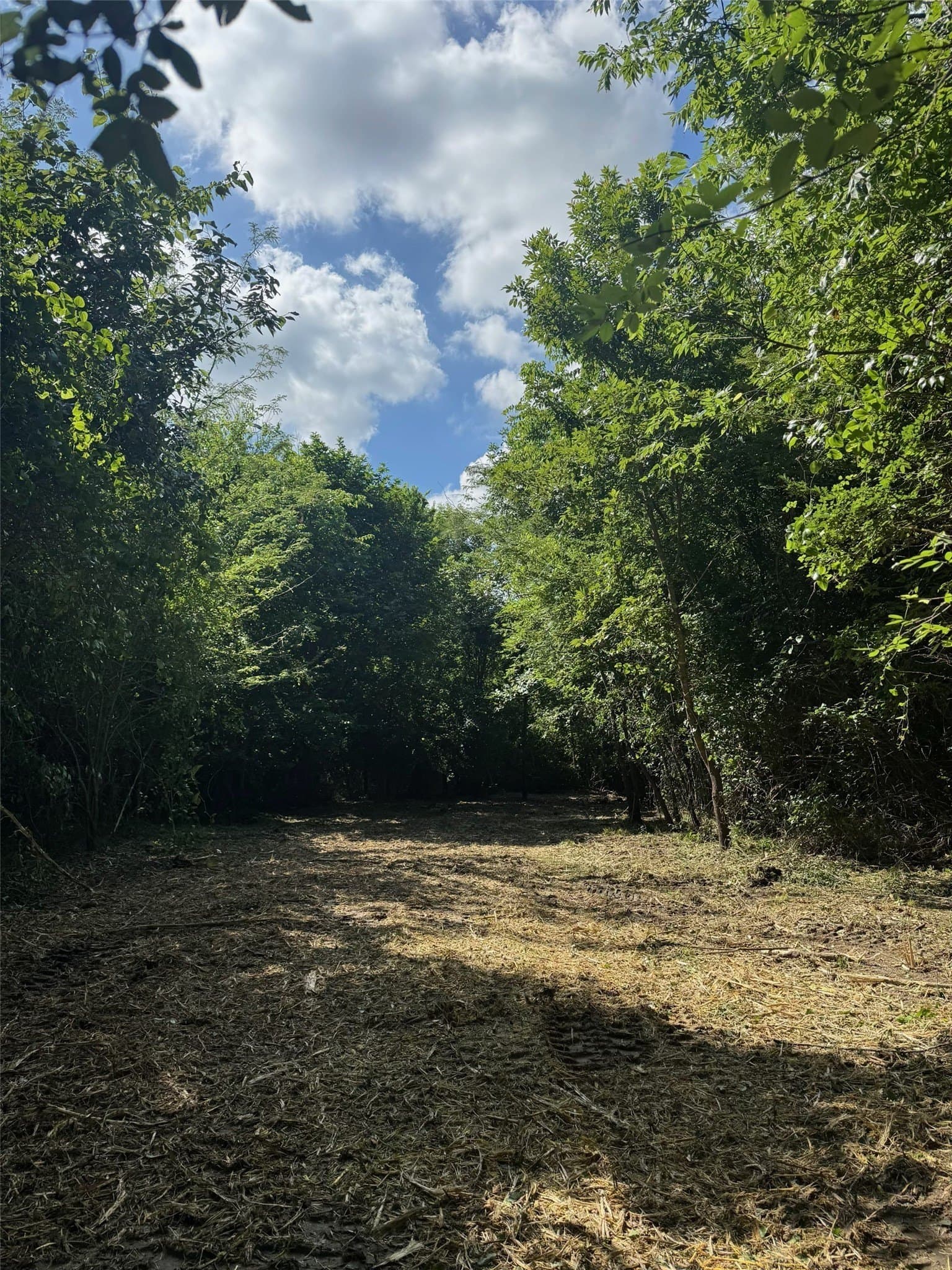 58.04 acres in Lamar County - photo 23
