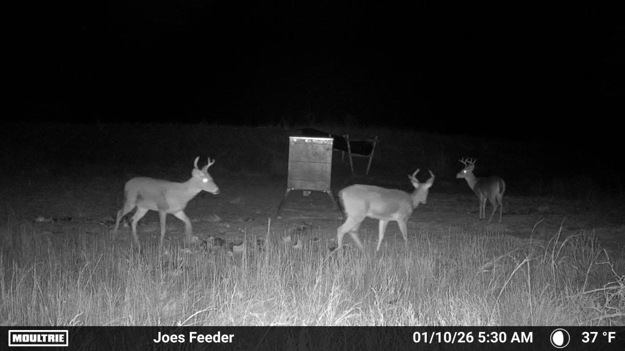58.04 acres in Lamar County - photo 11