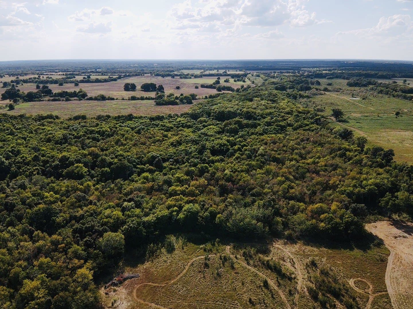 58.04 acres in Lamar County - photo 21