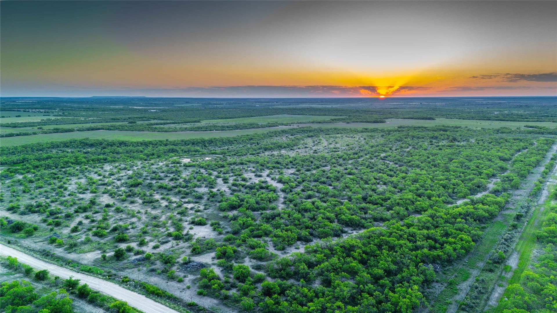 213.3 acres in Coleman County gallery image 3