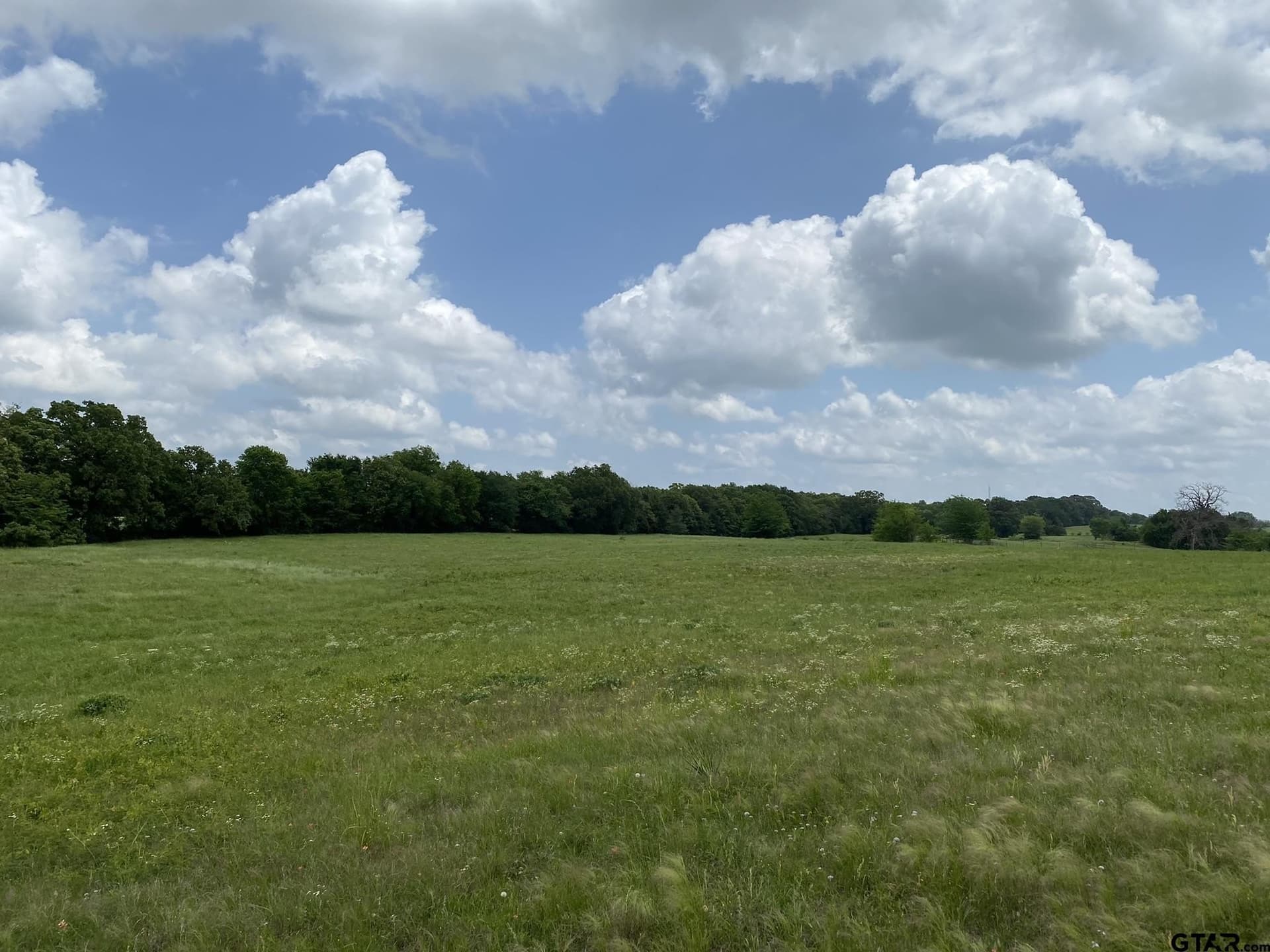 32 acres in Van Zandt County - photo 9
