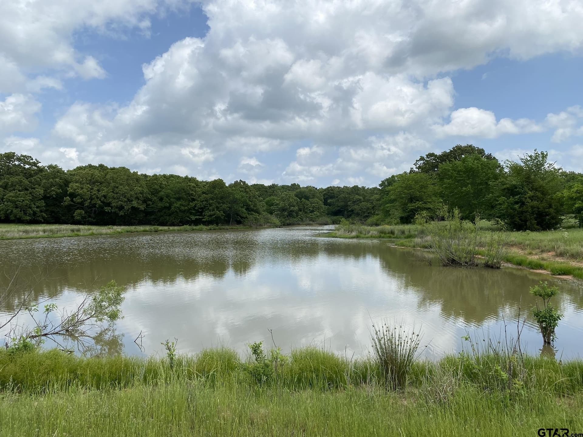 32 acres in Van Zandt County gallery image 3