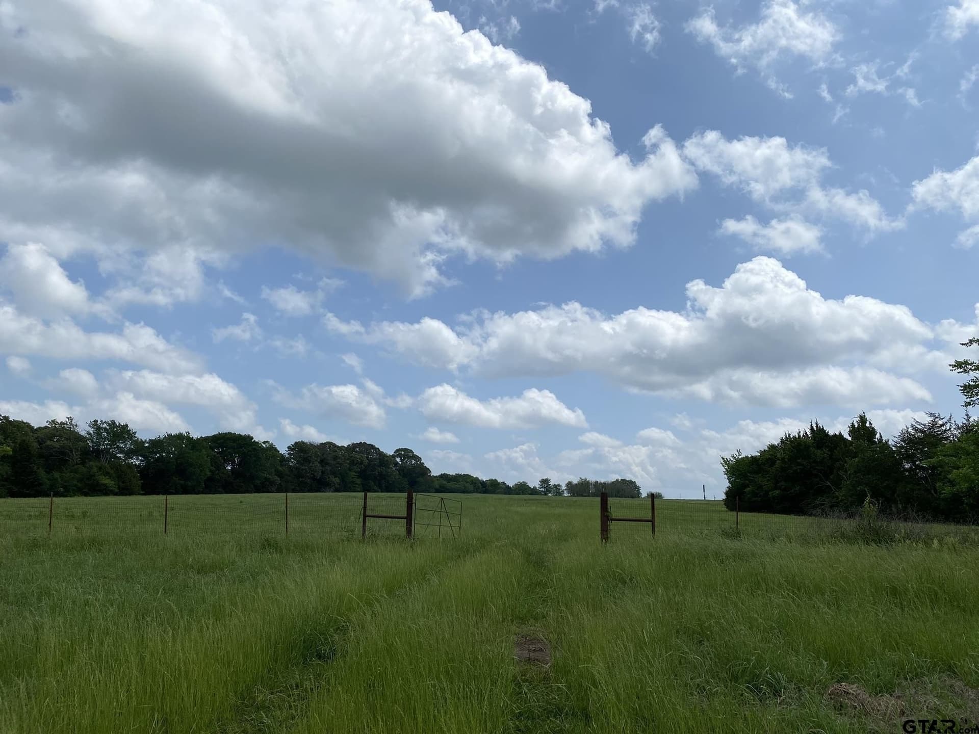 32 acres in Van Zandt County - photo 7