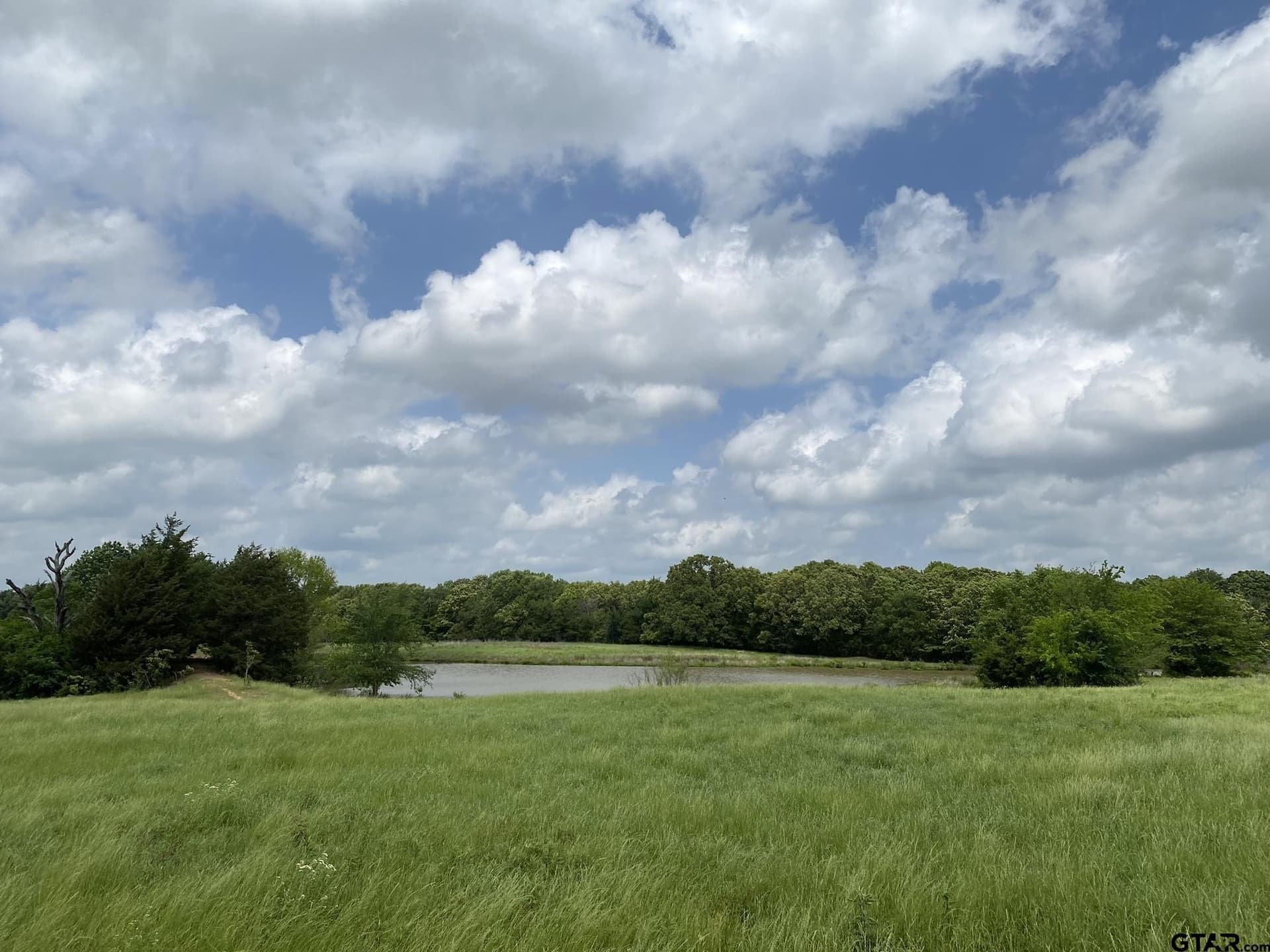 32 acres in Van Zandt County gallery image 4