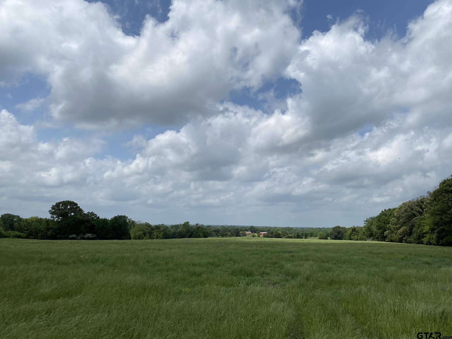 32 acres in Van Zandt County gallery image 2