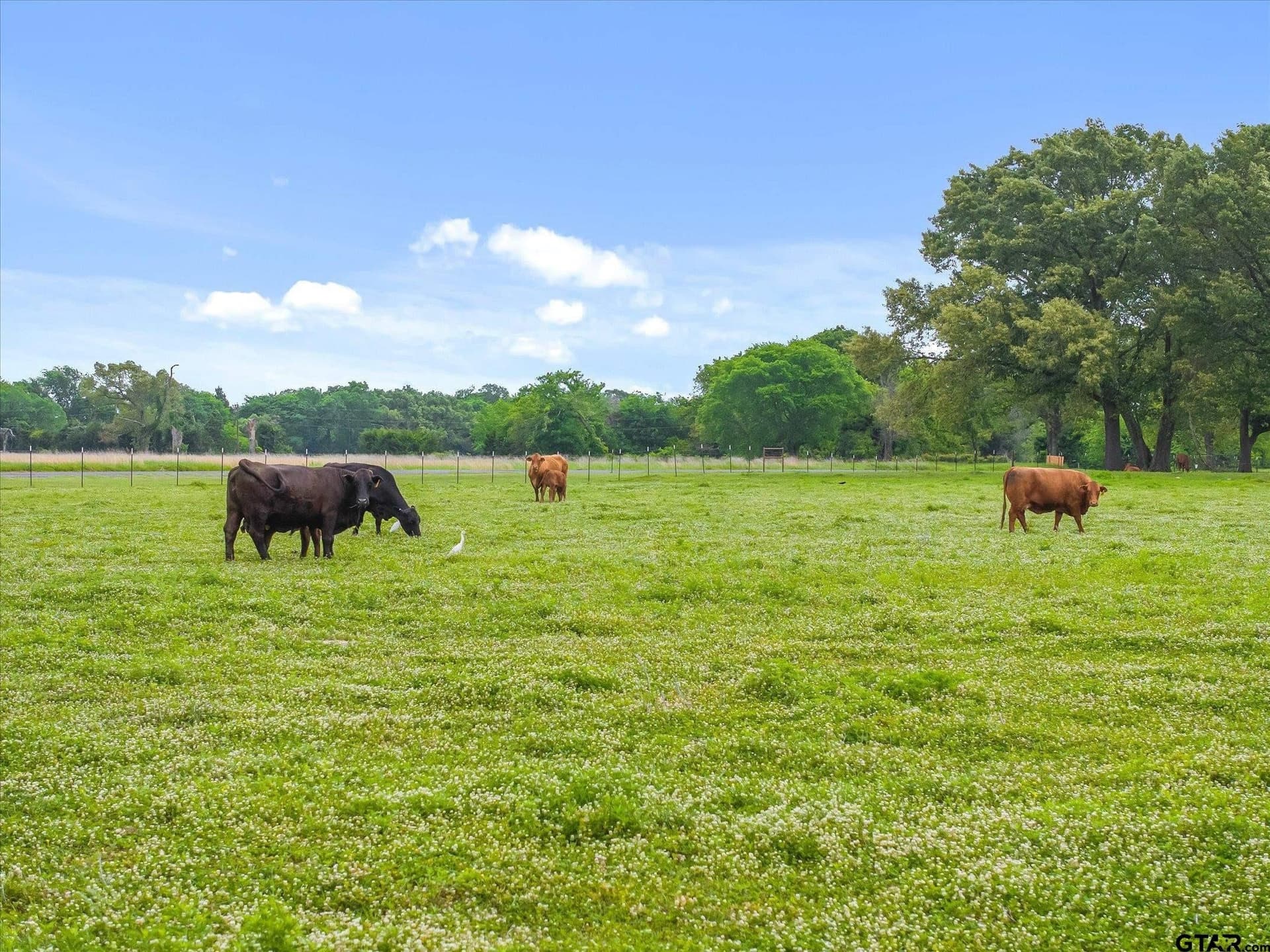 35 acres in Van Zandt County - photo 47