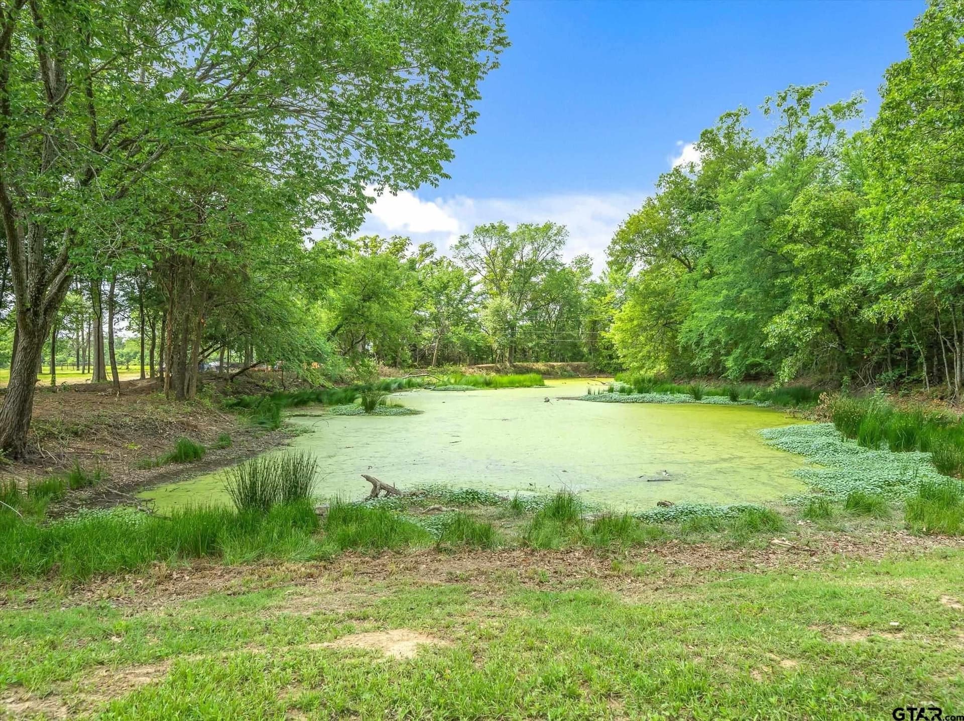 35 acres in Van Zandt County - photo 8