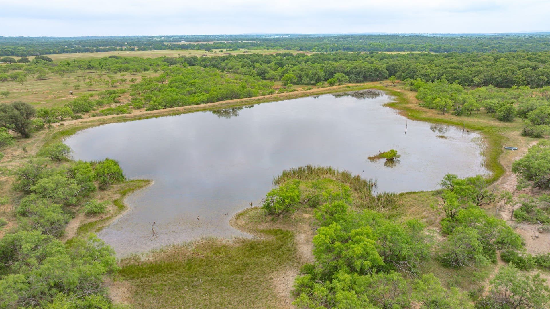 280 acres in Comanche County - photo 3
