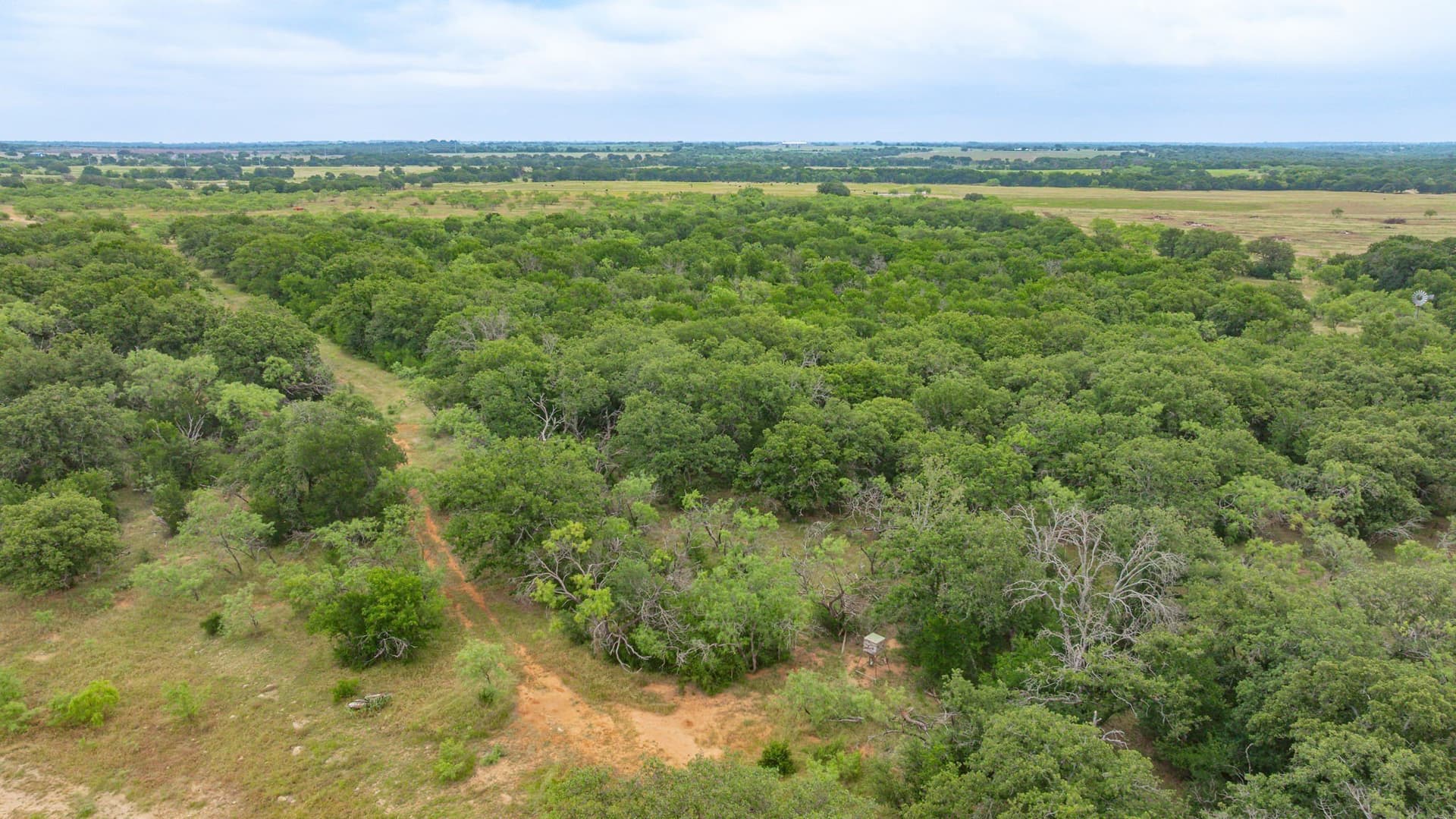 280 acres in Comanche County - photo 18