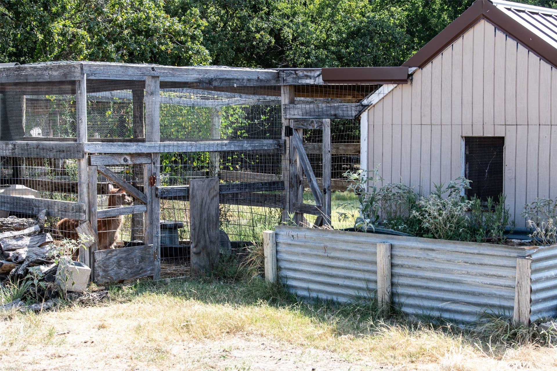 66.72 acres in Wise County - photo 12