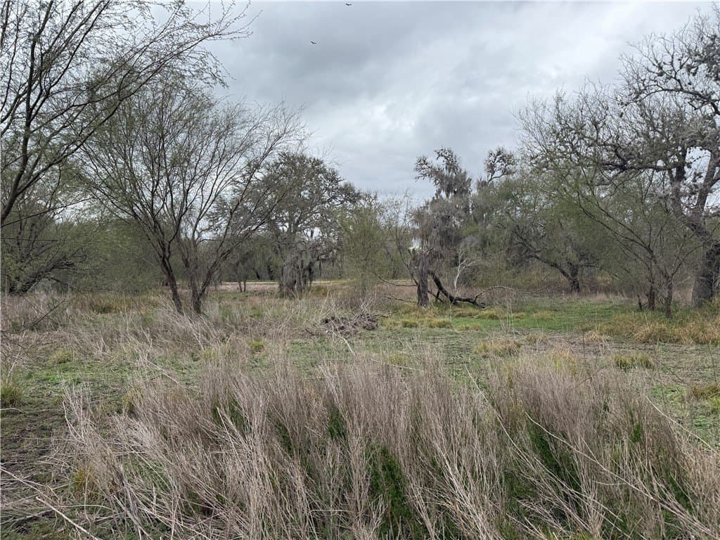 1.56 acres in Nueces County - photo 9