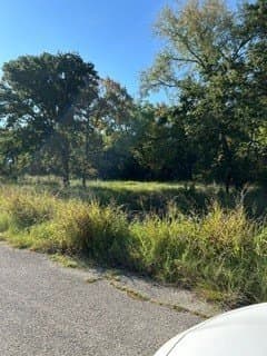 22.19 acres in Henderson County gallery image 4