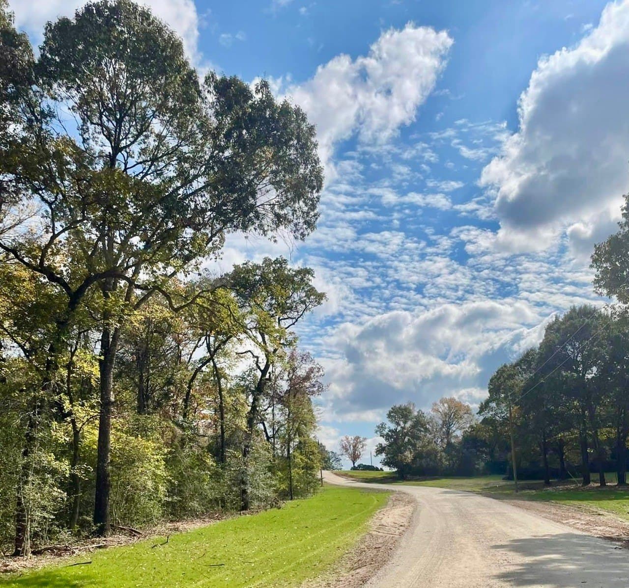 10.6 acres in Leon County - photo 6