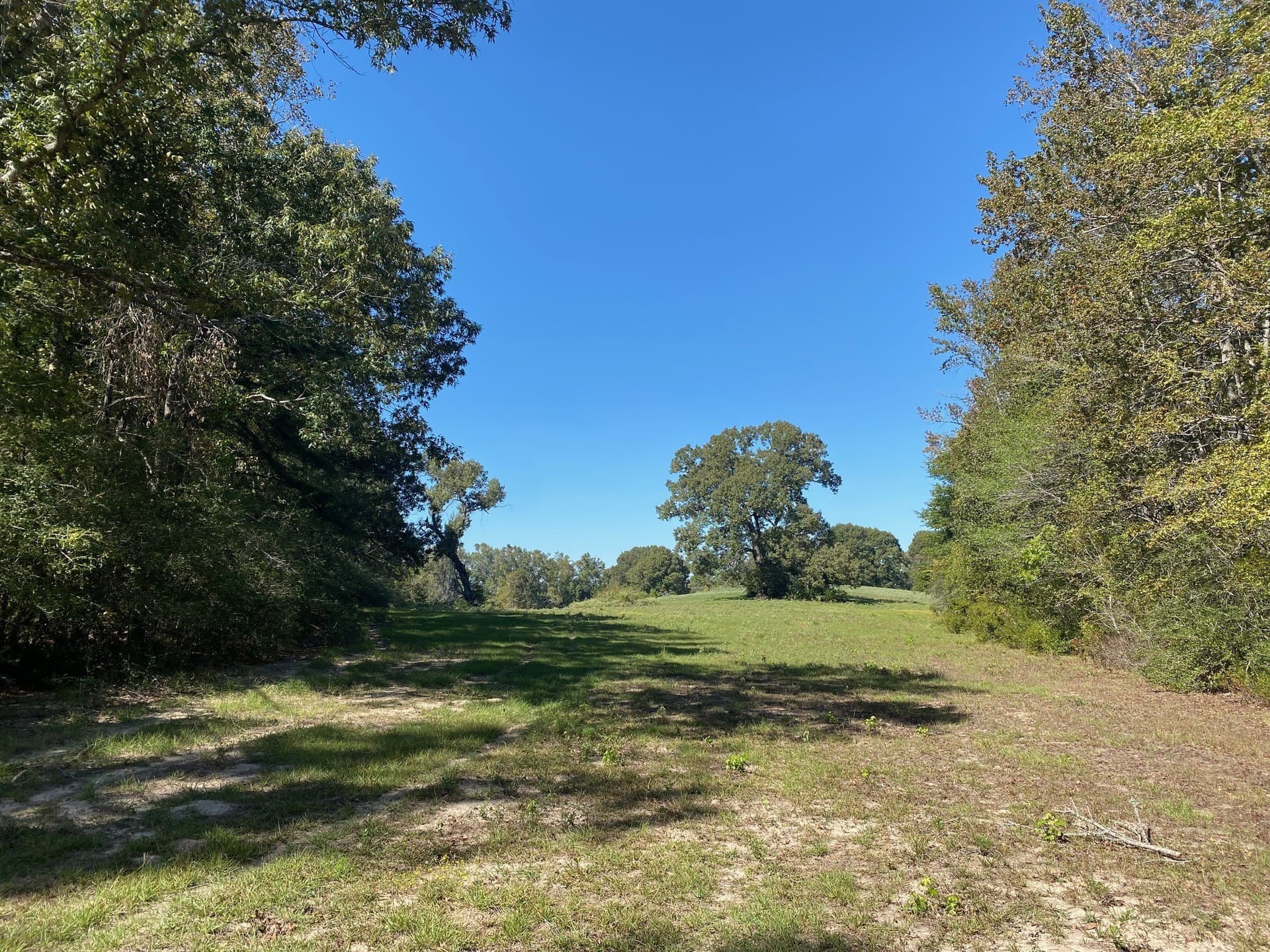 10.6 acres in Leon County