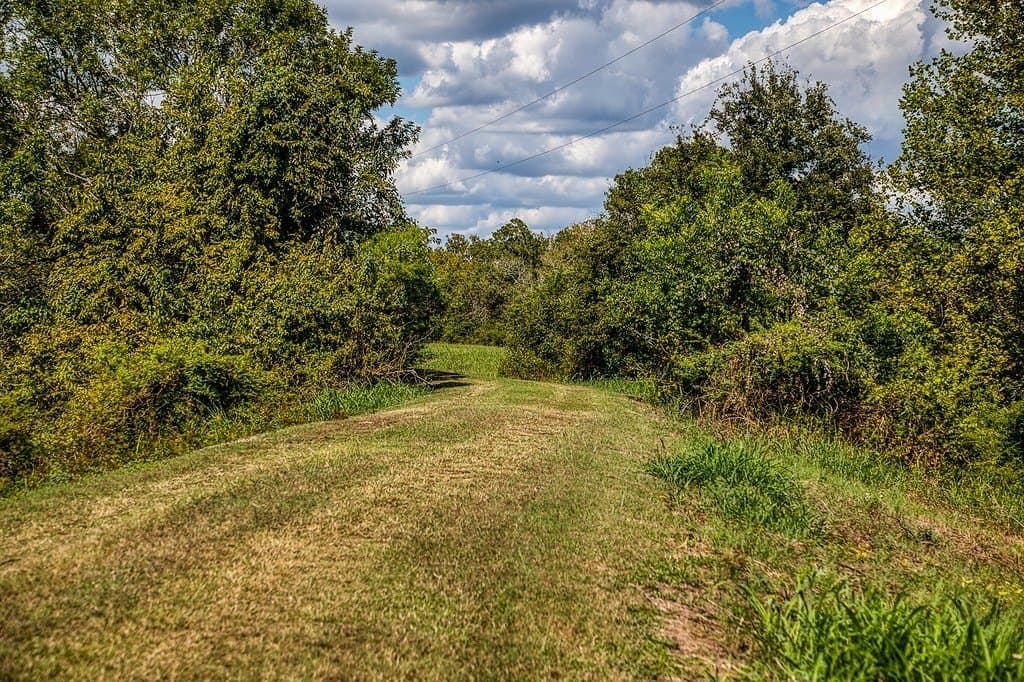 24.6 acres in Washington County featured view