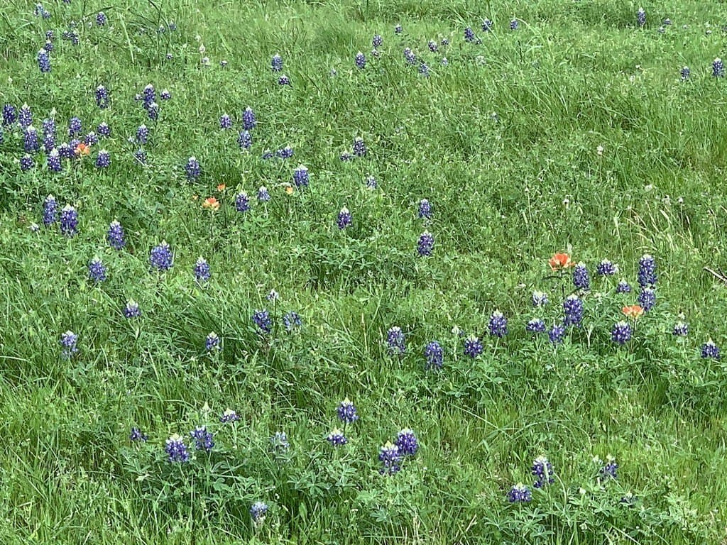 24.6 acres in Washington County gallery image 4