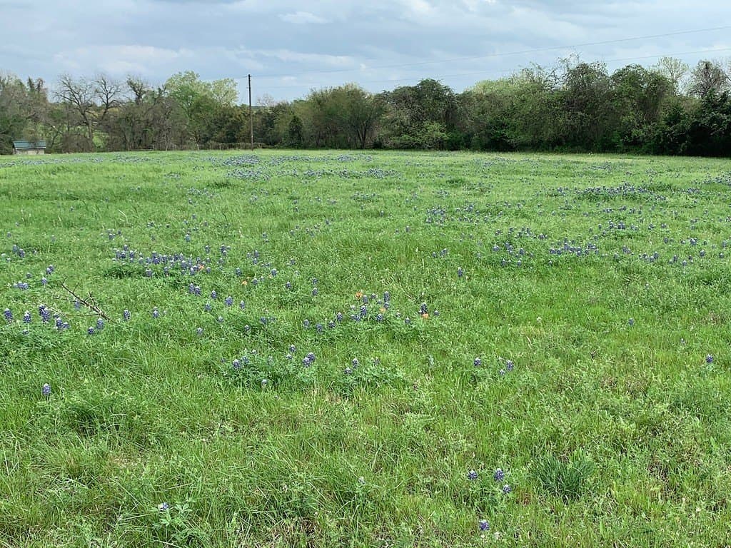 24.6 acres in Washington County gallery image 3