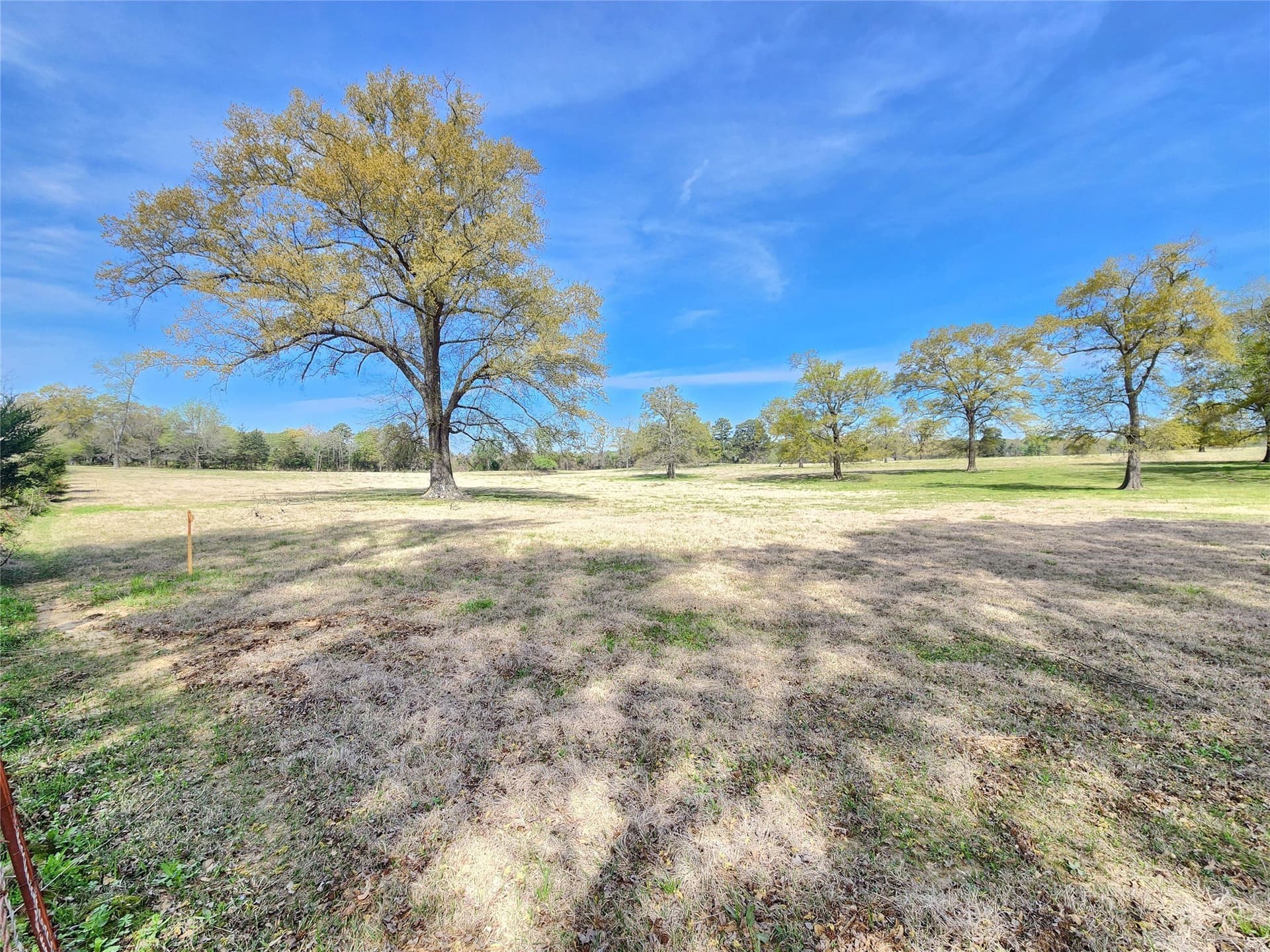 1.34 acres in Upshur County - photo 4