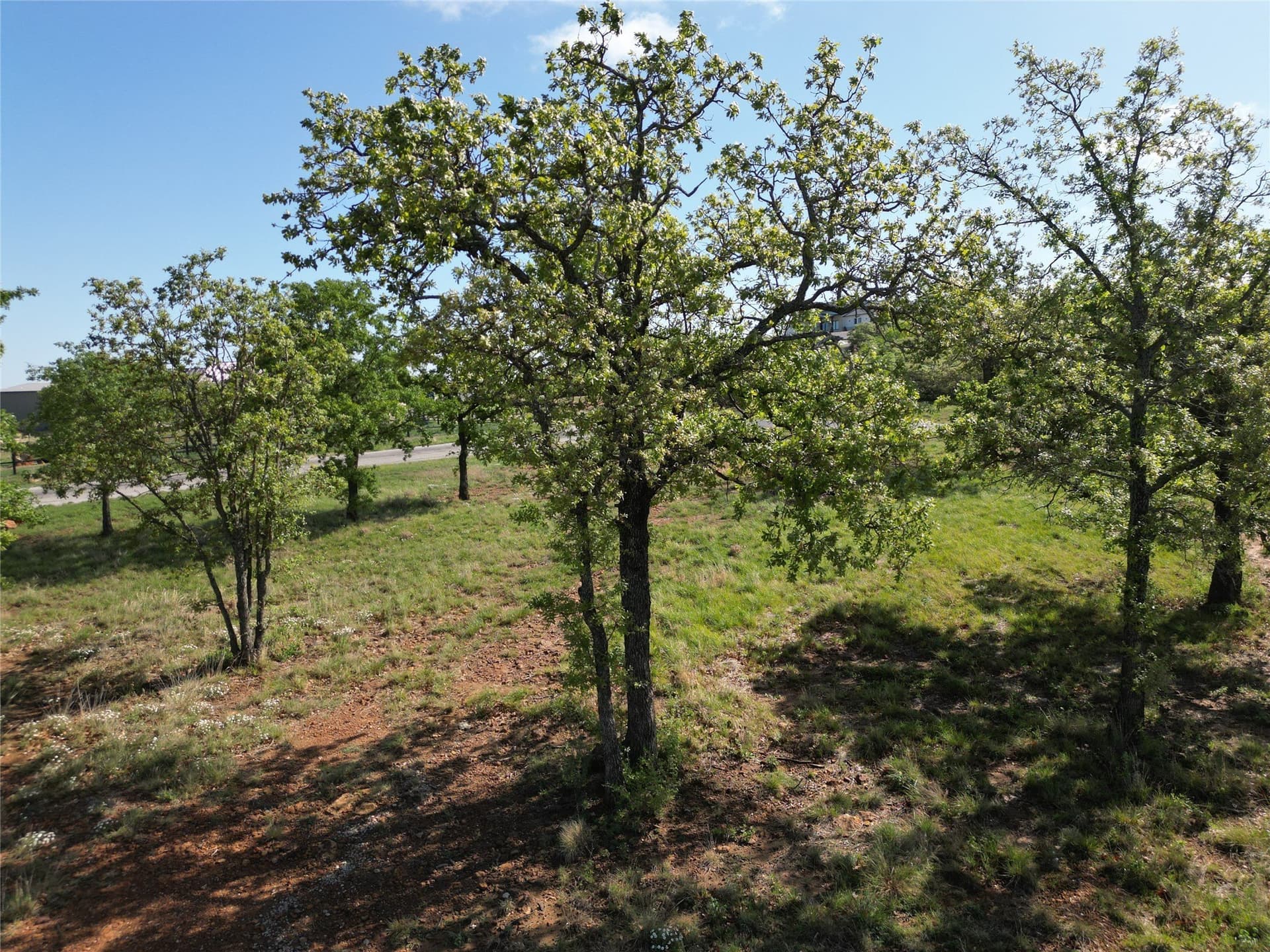 0.87 acres in Eastland County - photo 4