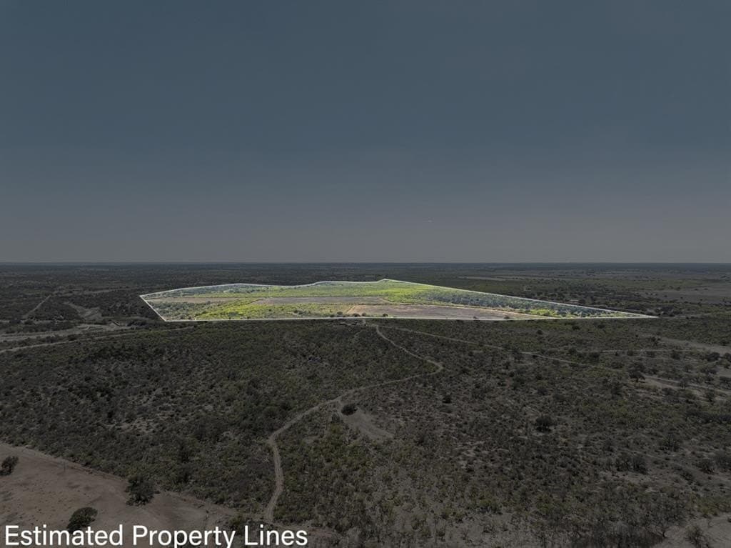 425 acres in McCulloch County gallery image 3