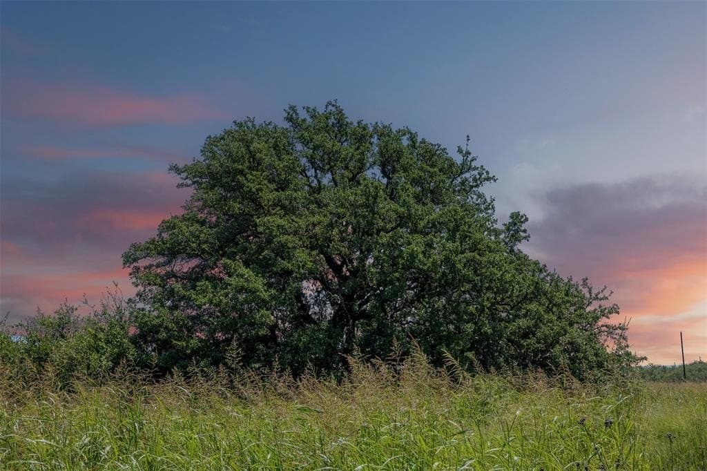425 acres in McCulloch County gallery image 2