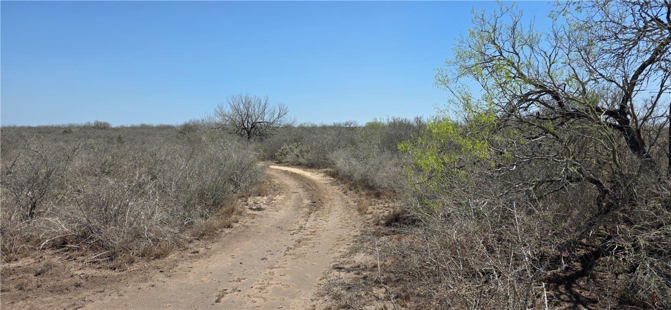 27 acres in Duval County gallery image 2