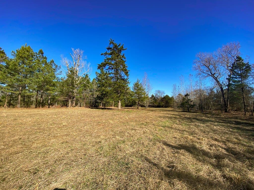 8.14 acres in Texas County featured view
