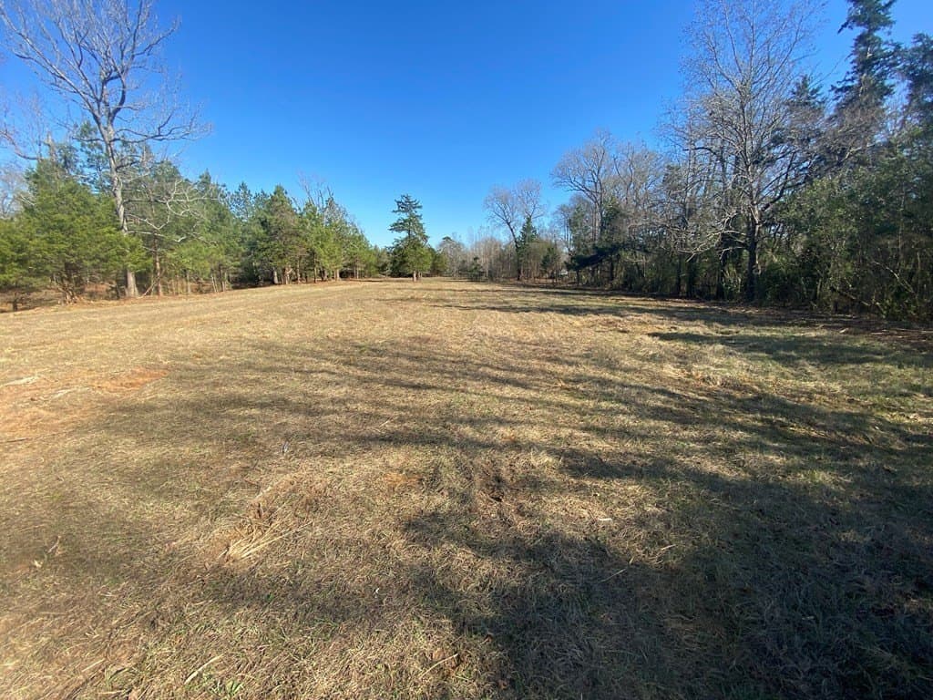 8.14 acres in Texas County gallery image 3