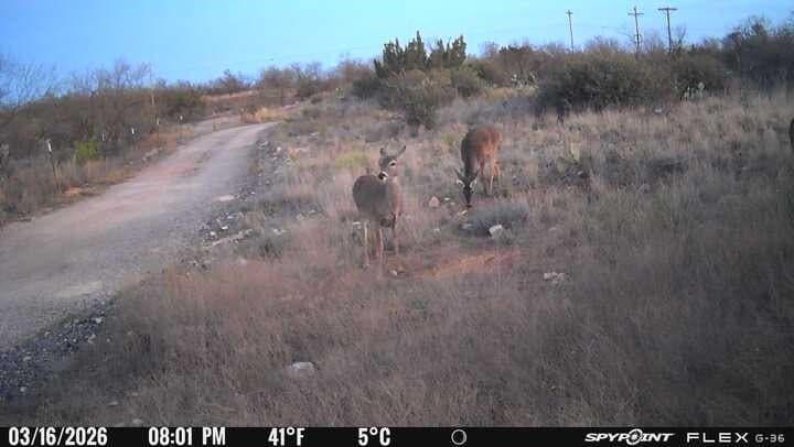 117.71 acres in Jones County - photo 37