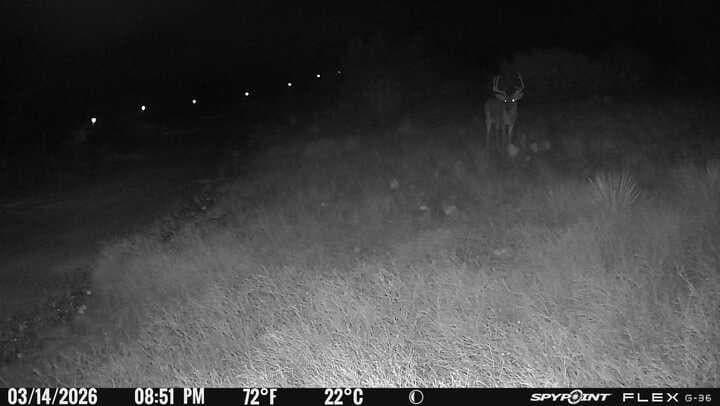 117.71 acres in Jones County - photo 38