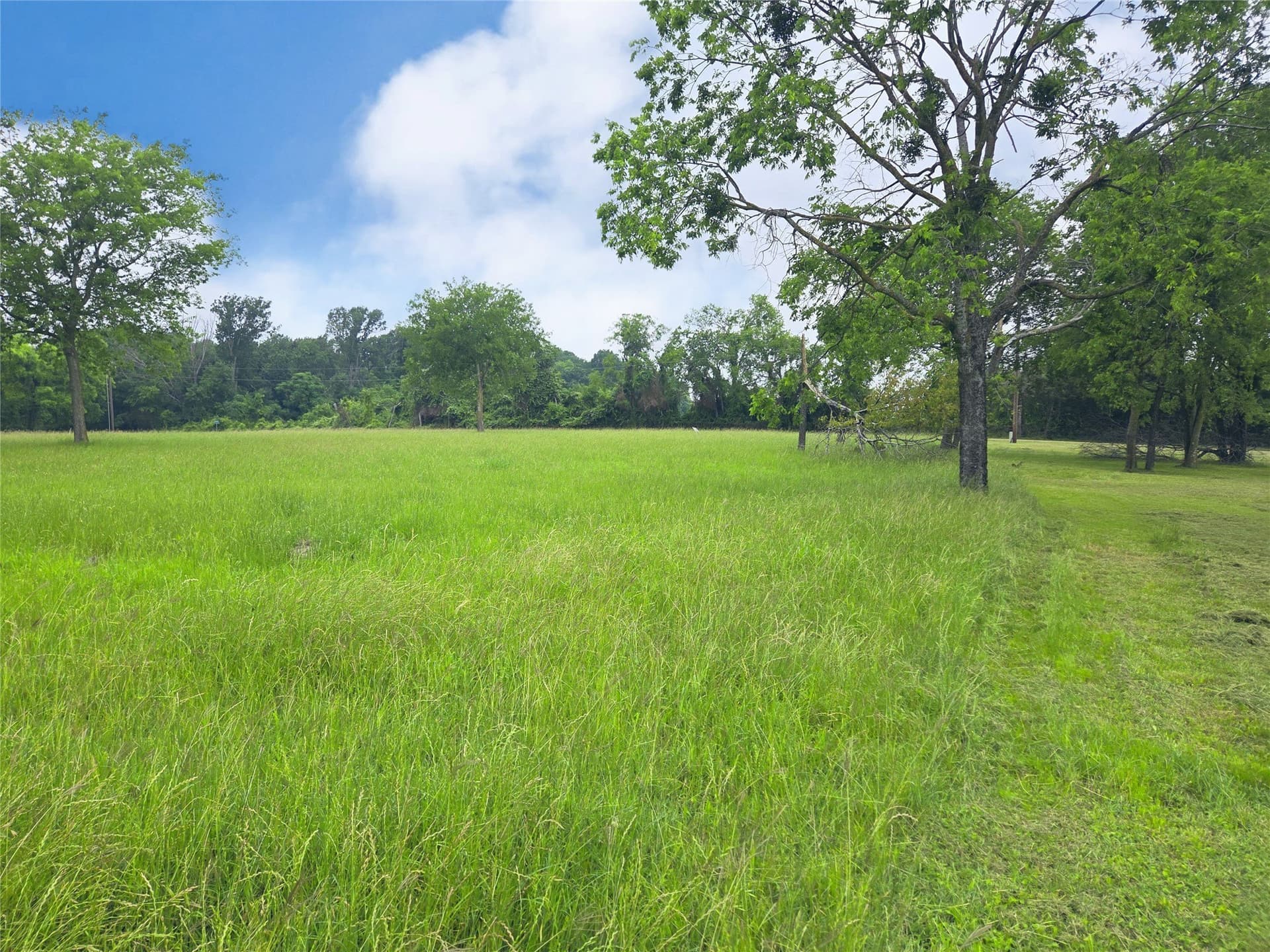 1.25 acres in Navarro County - photo 24