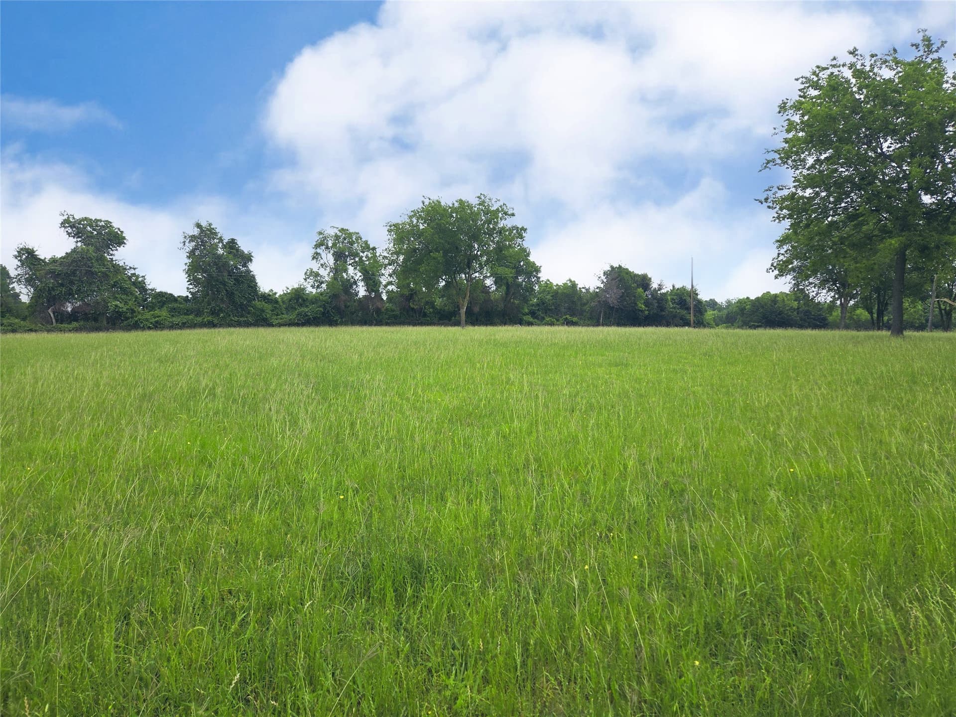 1.25 acres in Navarro County - photo 32