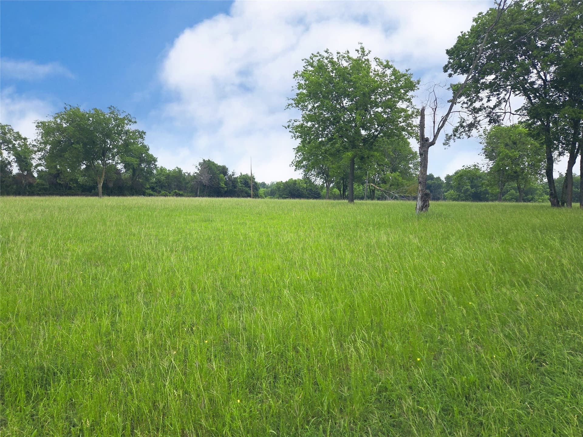 1.25 acres in Navarro County - photo 9
